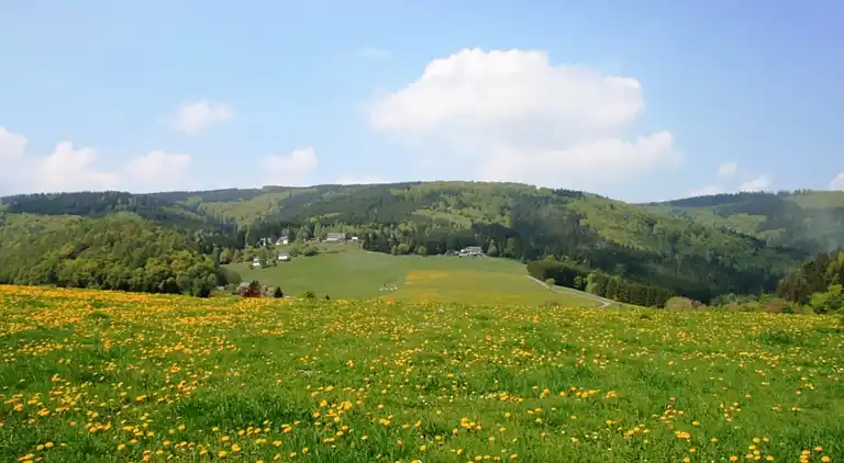 Ferielejlighed i Schwalefeld