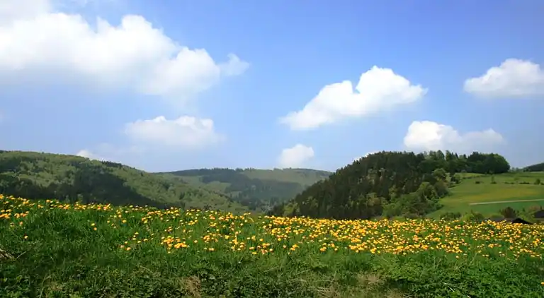 Ferielejlighed i Schwalefeld