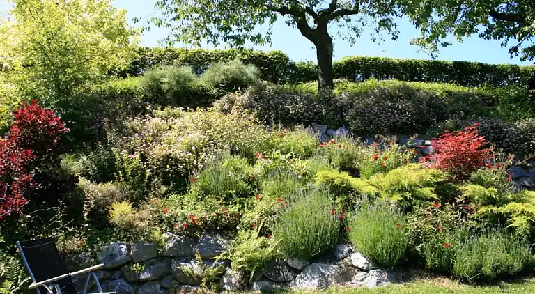 Ferielejlighed i Schwalefeld