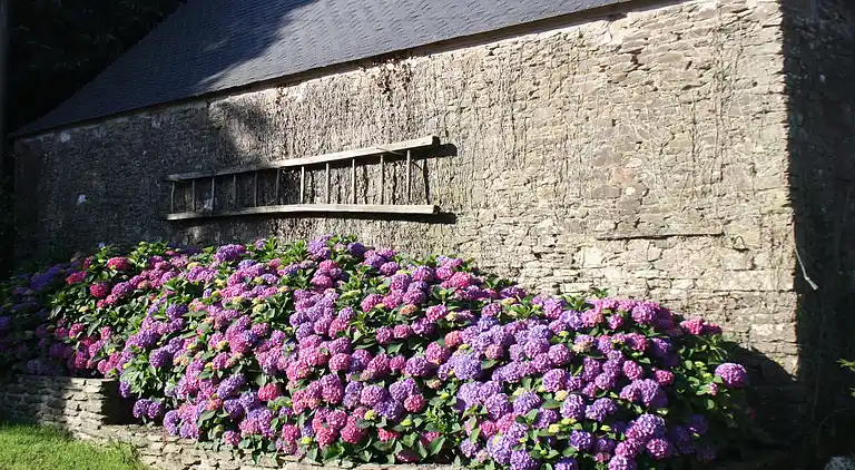 Holiday home in Le Moustoir