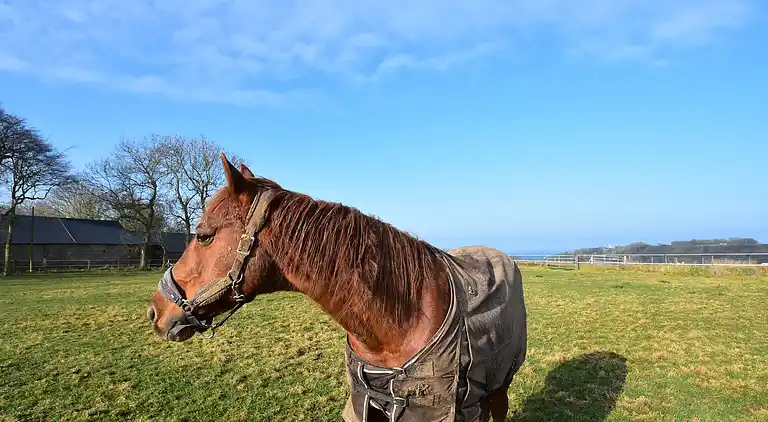 Sommerhus i Gerville
