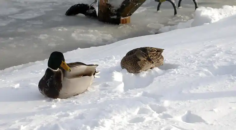 Ferielejlighed i Kröpelin