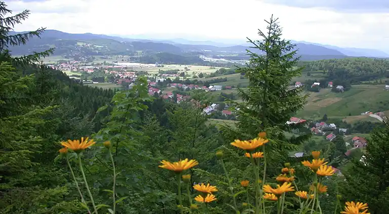 Sommerhus i Ravna Gora