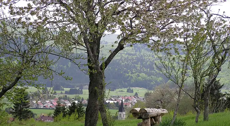 Sommerhus i Ravna Gora