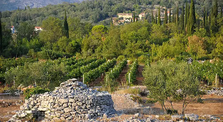 Sommerhus i Močići