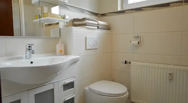 Apartment in Neustraßburg