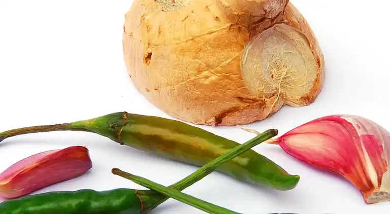 Sommerhus i Porto do Son