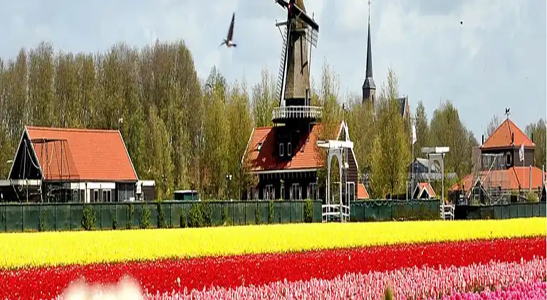 Sommerhus i Tuitjenhorn