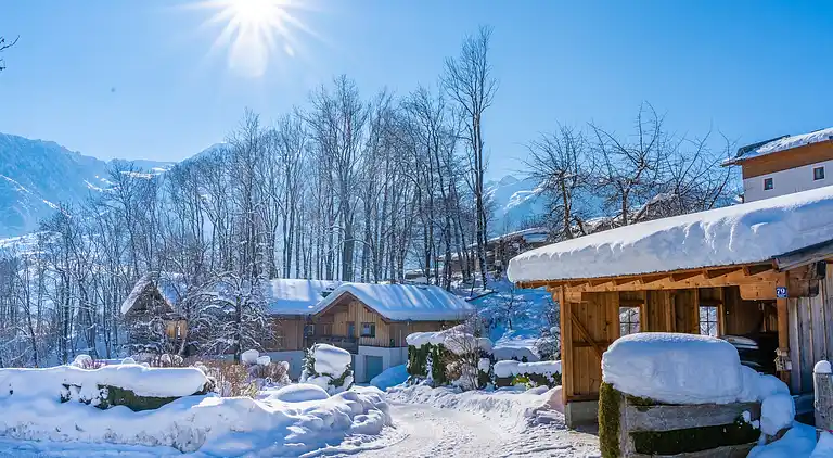 Apartment in Piesendorf