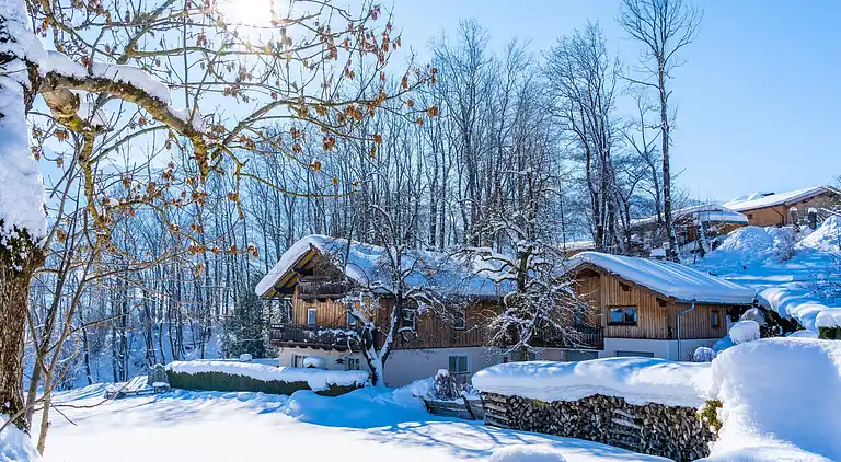 Apartment in Piesendorf