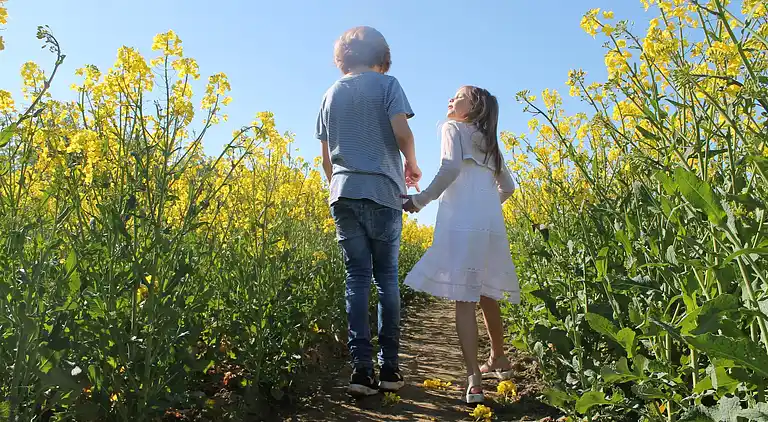 Ferielejlighed i Insel Poel