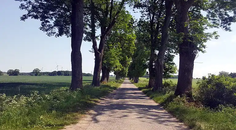 Hytte i Dzierżęcin