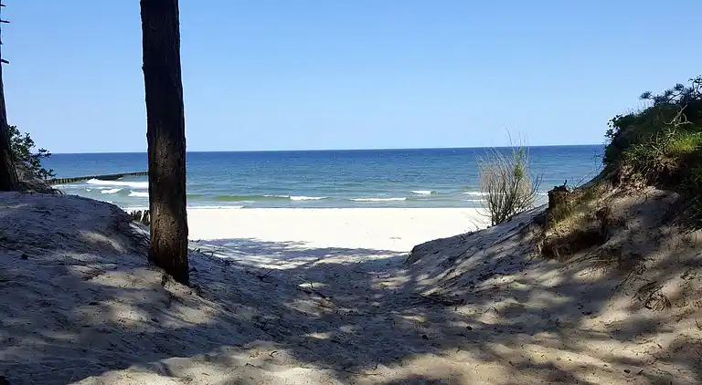 Hytte i Dzierżęcin