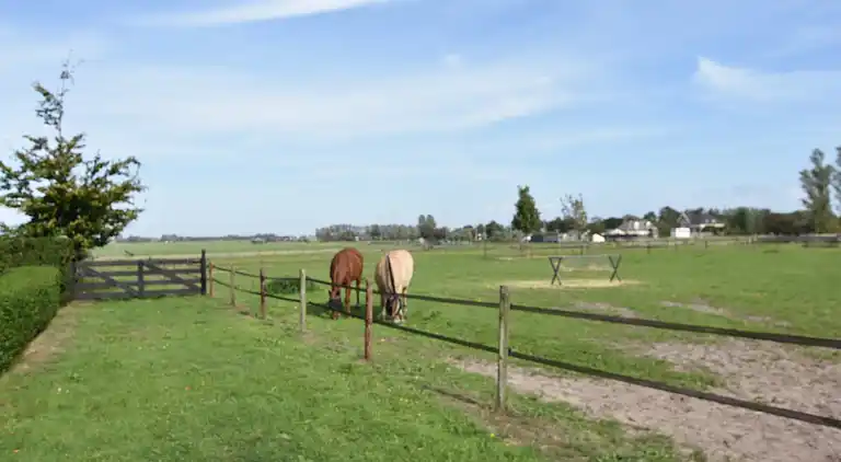 Feriebolig i Schoorl