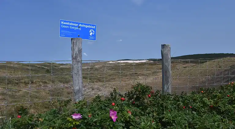 Feriebolig i Schoorl