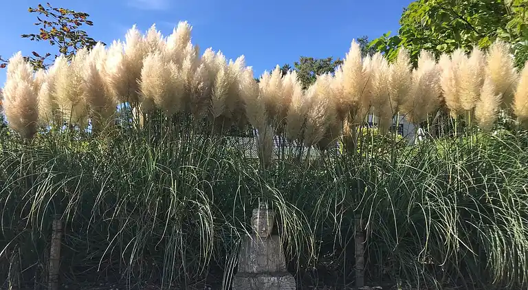 Feriebolig i Schoorl