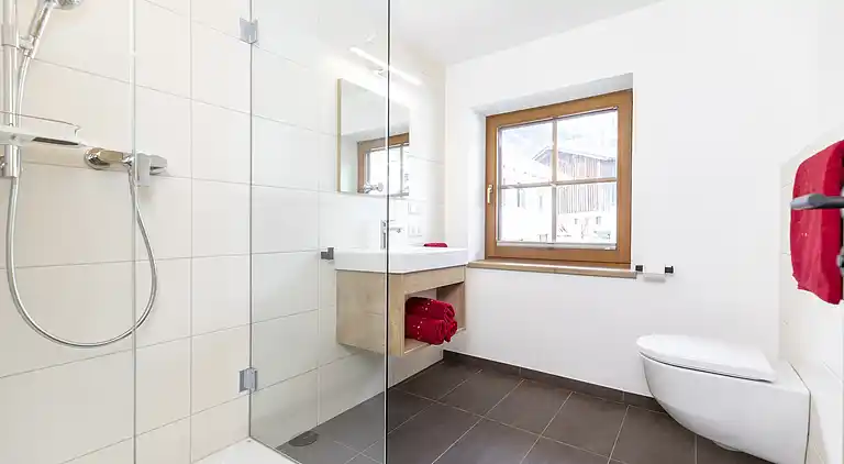 Apartment in Kaltenbach