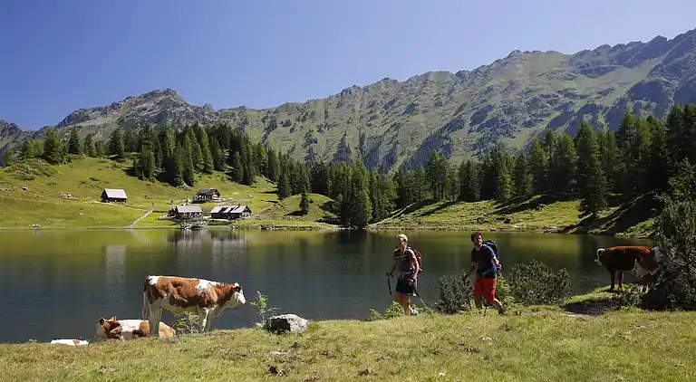 Apartment in Rohrmoos-Untertal