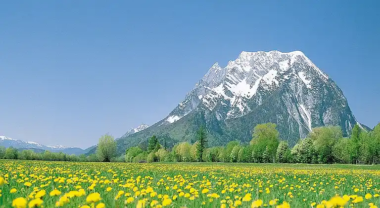 Ferielejlighed i Rohrmoos-Untertal