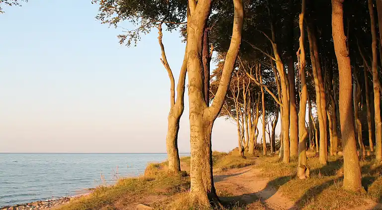 Sommerhus i Heiligendamm