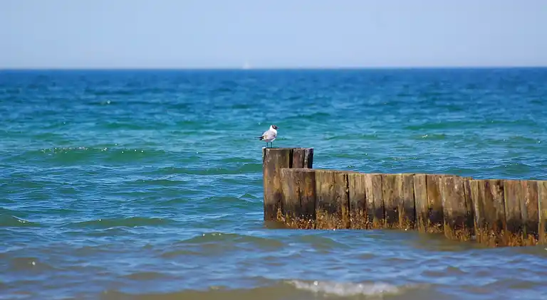 Ferielejlighed i Hohenkirchen