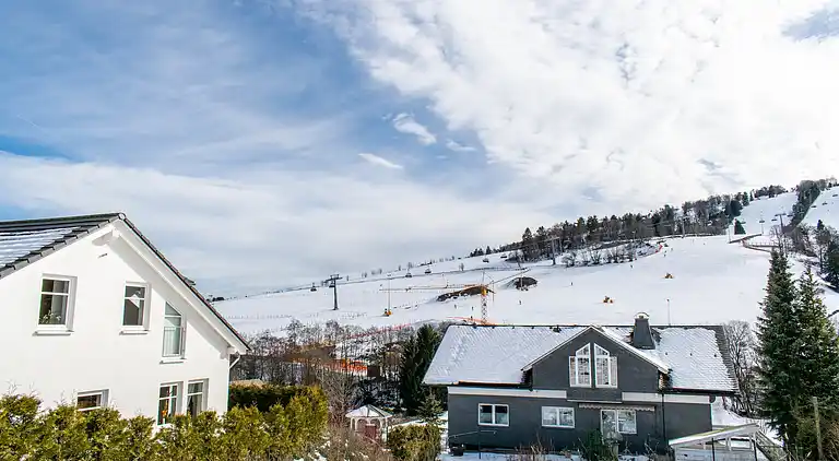 Ferielejlighed i Willingen (Upland)