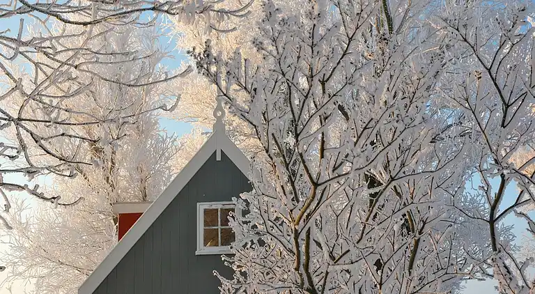 Semesterbostad i Amsterdam-Noord