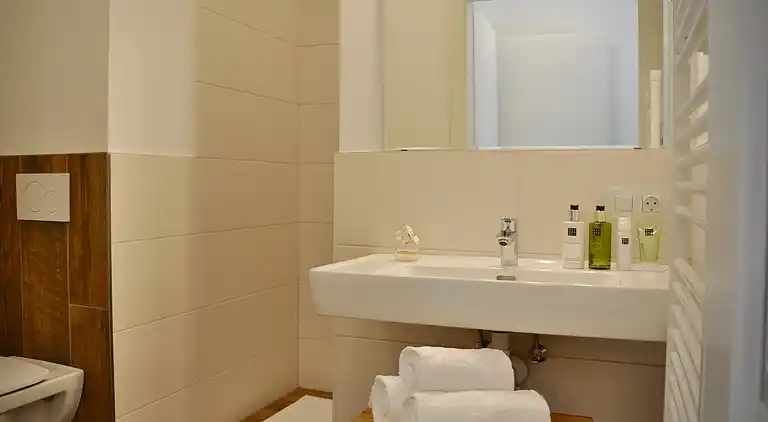 Ferielejlighed i Werfenweng