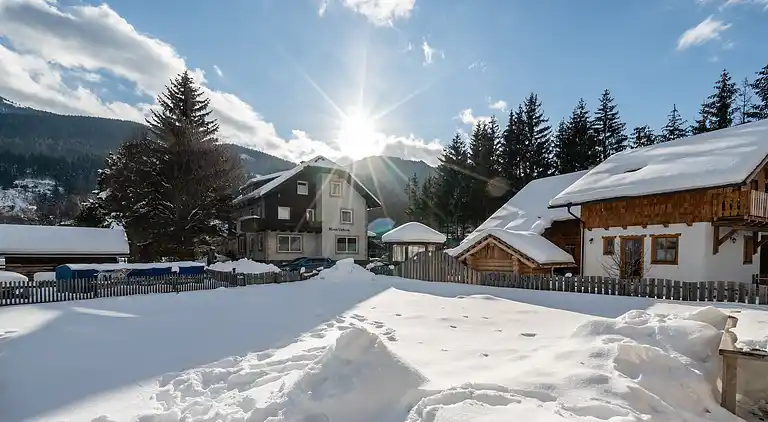 Ferienhaus in Sankt Michael im Lungau