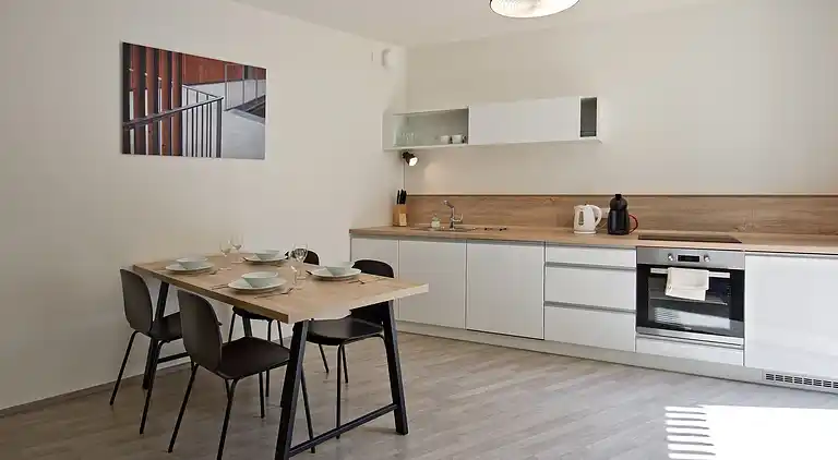 Ferielejlighed i Staré Splavy