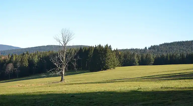 Sommerhus i Špičák