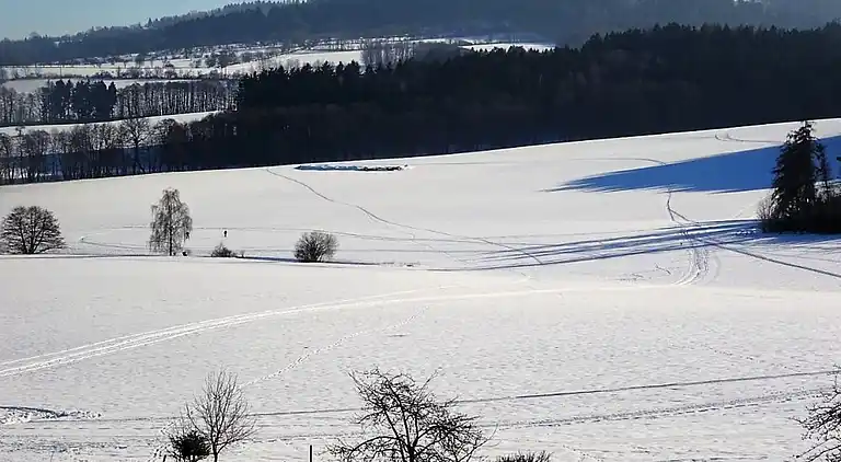 Holiday home in Kozákov
