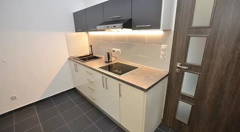 Sommerhus i Špičák