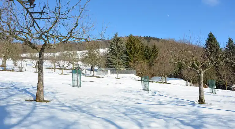 Holiday home in Kozákov