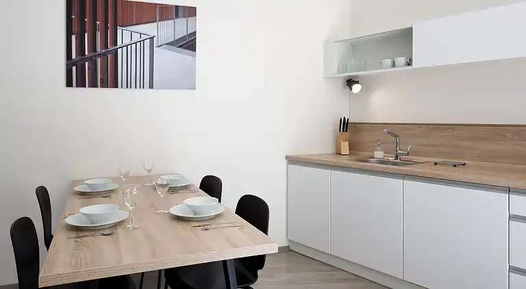 Ferielejlighed i Staré Splavy