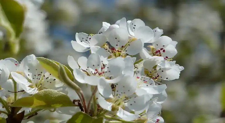 Holiday home in Sauqueville
