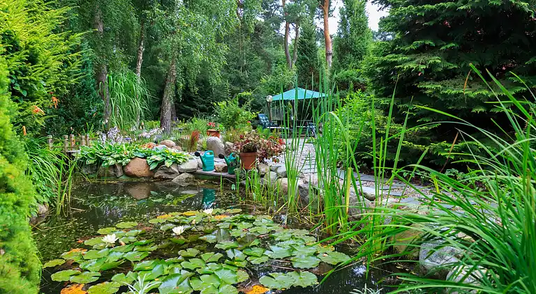 Ferielejlighed i Rusko