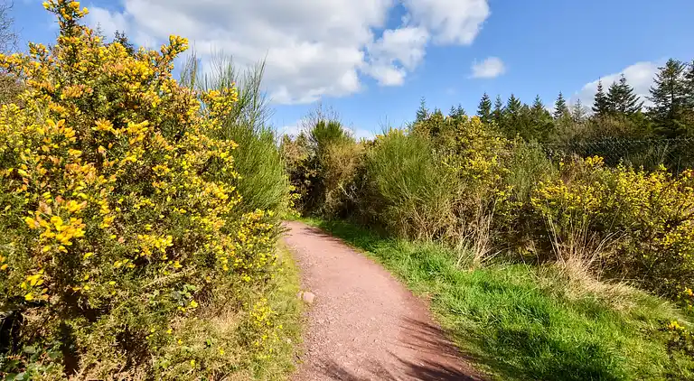 Holiday home in Broons