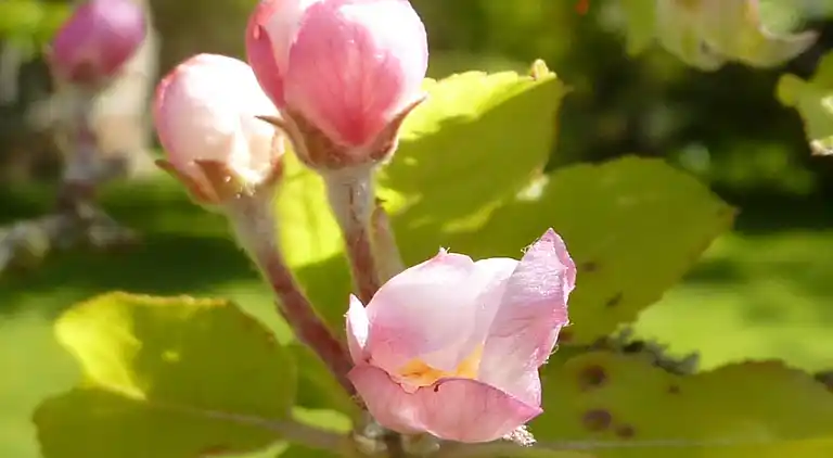 Holiday home in Sauqueville