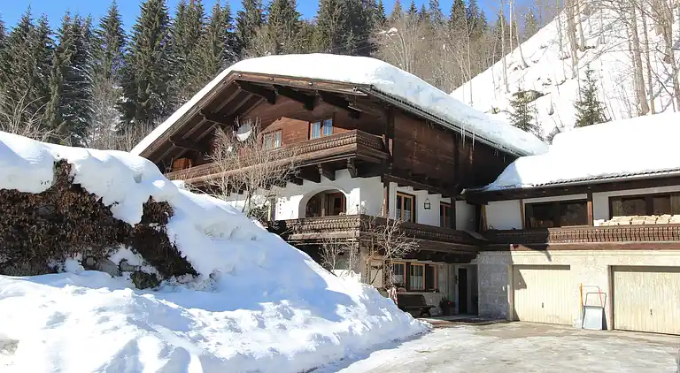 Apartment in Viehhofen