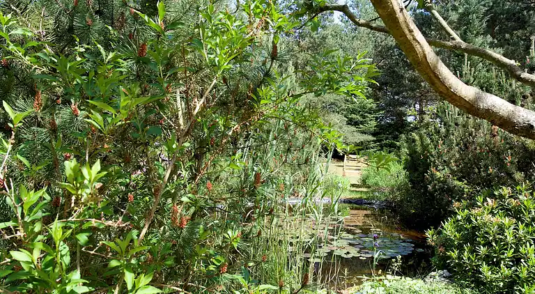 Sommerhus i Gegensee
