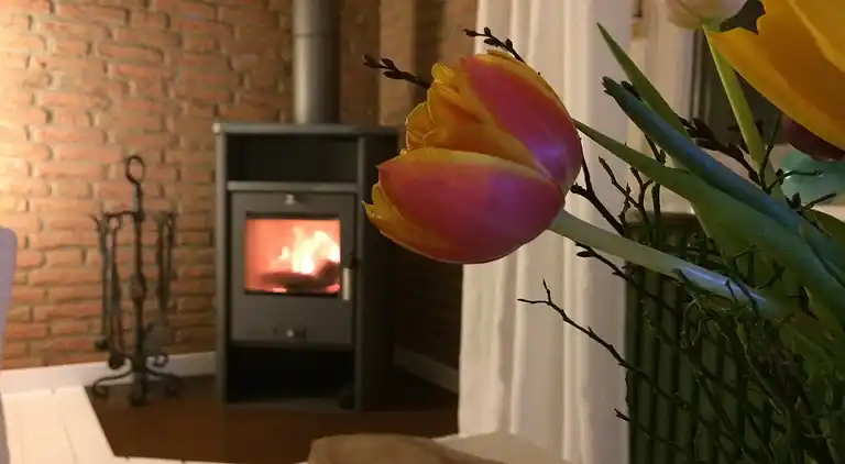 Cottage in Winsen an der Aller