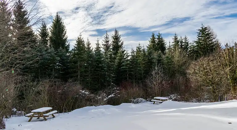 Apartment in Küstelberg