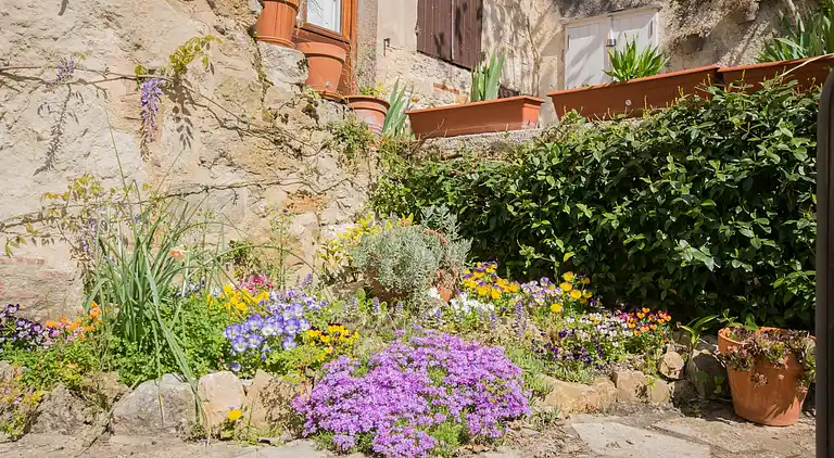 Sommerhus i Cassagnes