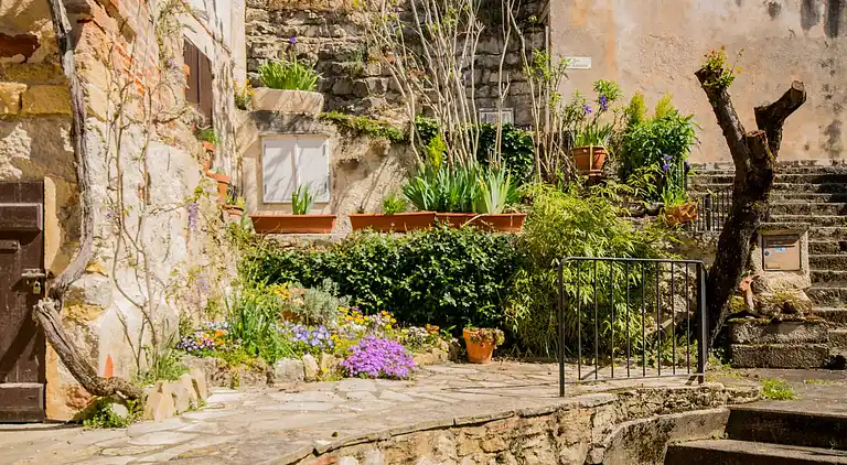 Sommerhus i Cassagnes