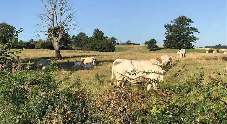 Holiday home in Lapeyrouse