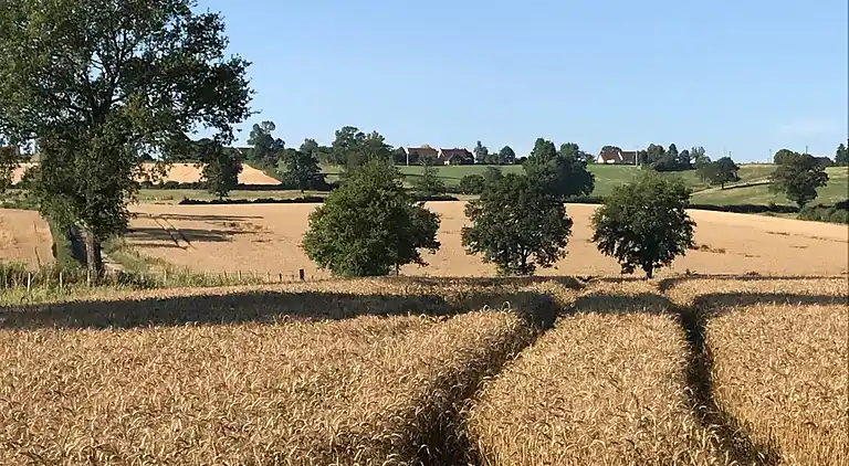 Holiday home in Lapeyrouse