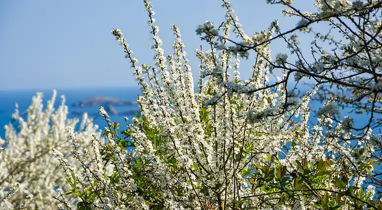 Semesterbostad i Saint-Cast-le-Guildo