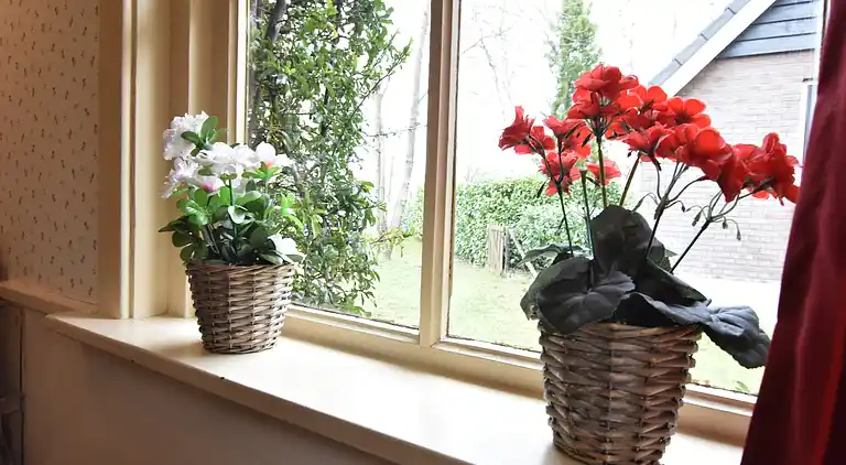 Vakantiehuis in Den Ham