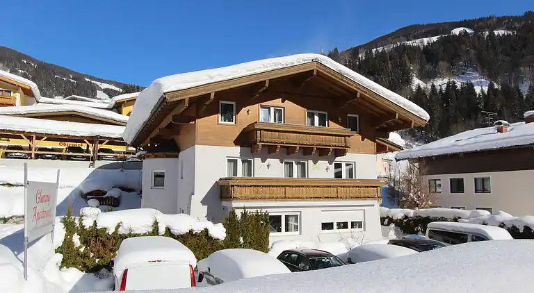 Apartment in Viehhofen